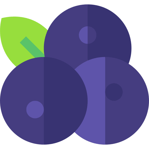 Blueberry fruit diet food and restaurant icon