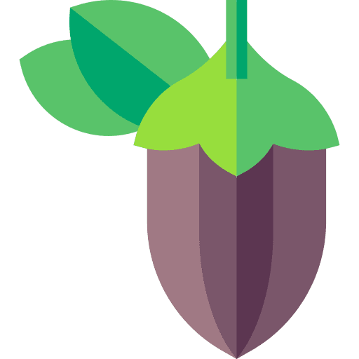 Jojoba organic nature desert icon