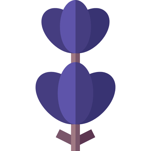Lavender botanical lavender aroma icon Lavender botanical lavender aroma icon