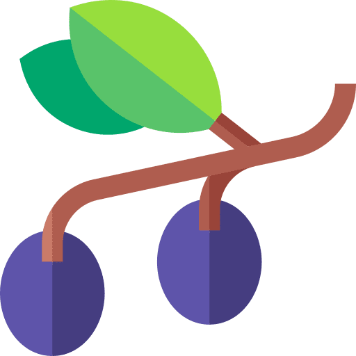 Olive branch organic olive icon Olive branch organic olive icon
