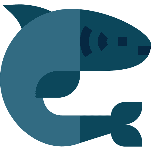 Shark shark predator animal kingdom icon Shark shark predator animal kingdom icon