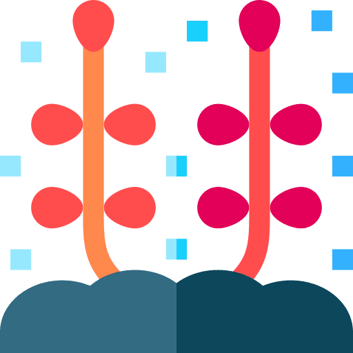 Coral animals marine invertebrate icon Coral animals marine invertebrate icon