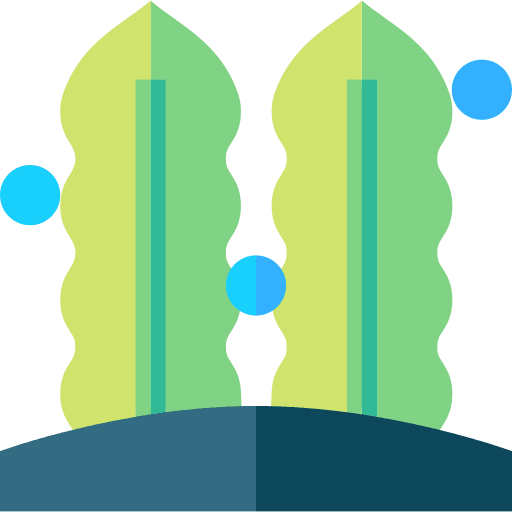 Seaweed seaweed algae nature icon Seaweed seaweed algae nature icon