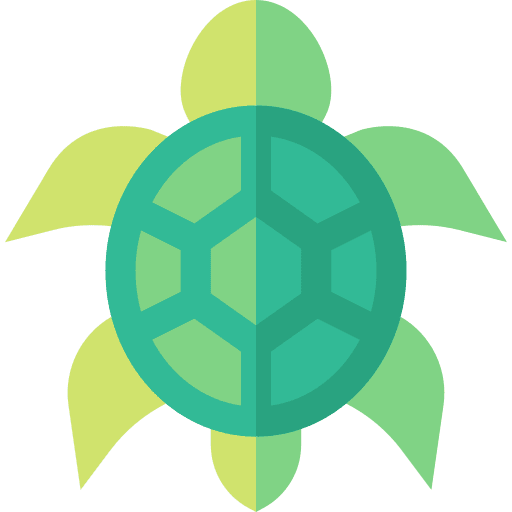 Turtle animal kingdom marine fauna icon Turtle animal kingdom marine fauna icon