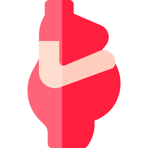Pregnancy woman child maternity icon Pregnancy woman child maternity icon