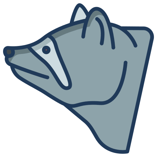 Raccoon mammal raccoon wild icon Raccoon mammal raccoon wild icon
