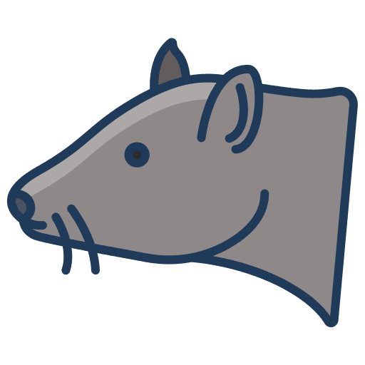 Rat animal kingdom animals rat icon Rat animal kingdom animals rat icon