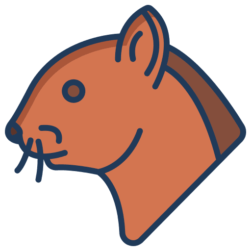 Squirrel mammal squirrel animals icon Squirrel mammal squirrel animals icon