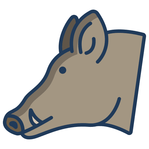 Wild pig head wild boar animals icon Wild pig head wild boar animals icon