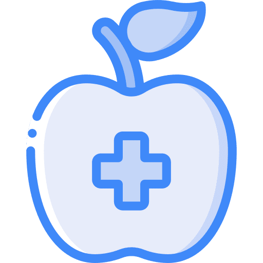 Apple apple fruit food icon