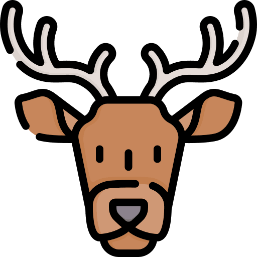 Deer reindeer christmas deer icon