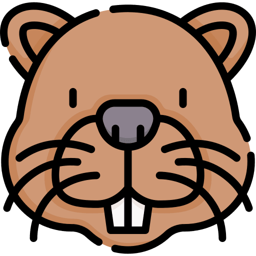 Beaver zoo beaver animals icon