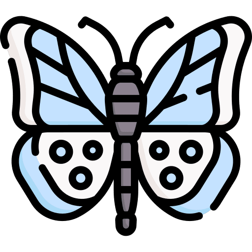 Butterfly bug animals insect icon Butterfly bug animals insect icon