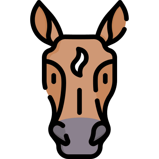 Horse animal kingdom zoo farming and gardening icon Horse animal kingdom zoo farming and gardening icon