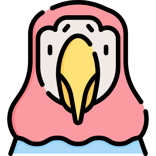 Parrot animals parrot bill icon Parrot animals parrot bill icon