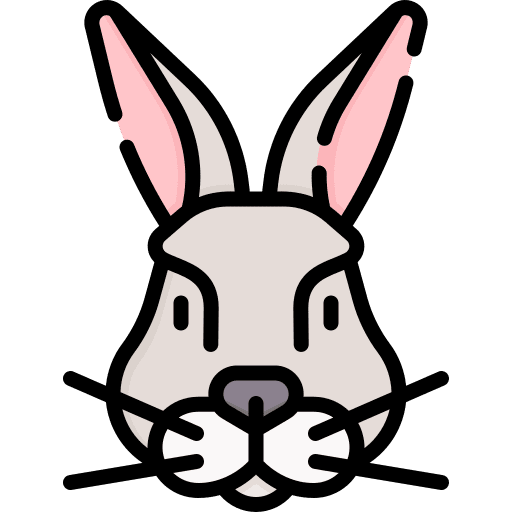 Rabbit mammal wildlife animals icon Rabbit mammal wildlife animals icon