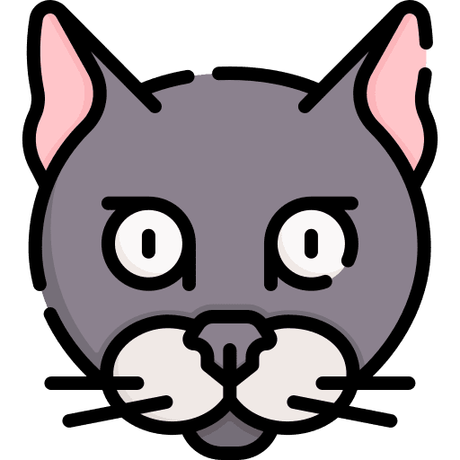 Cat mammal pet bottle khao manee cat icon Cat mammal pet bottle khao manee cat icon
