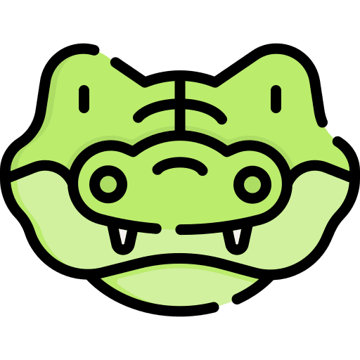 Crocodile animals crocodile zoology icon Crocodile animals crocodile zoology icon