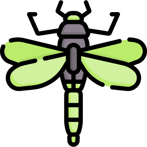 Dragonfly animal kingdom dragonfly insect icon Dragonfly animal kingdom dragonfly insect icon