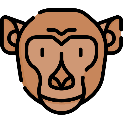 Monkey mammal animals primate icon Monkey mammal animals primate icon