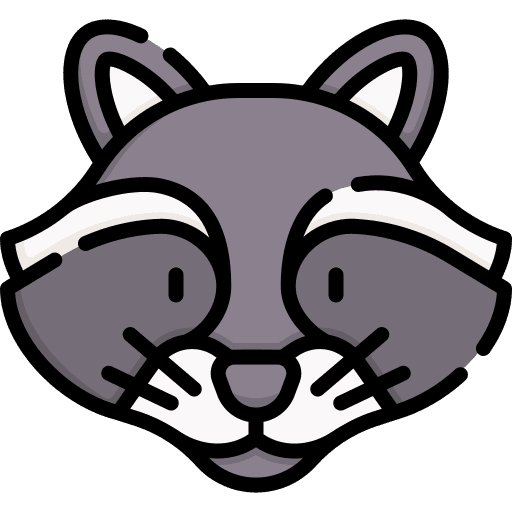 Raccoon animals wildlife wild icon Raccoon animals wildlife wild icon