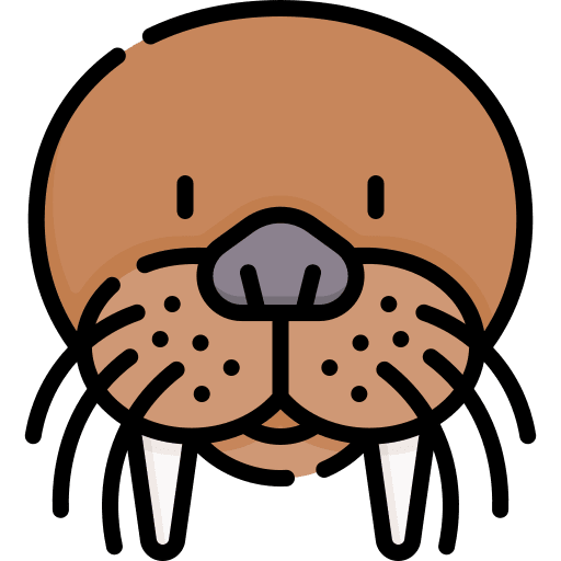 Walrus animals animal wild life icon Walrus animals animal wild life icon