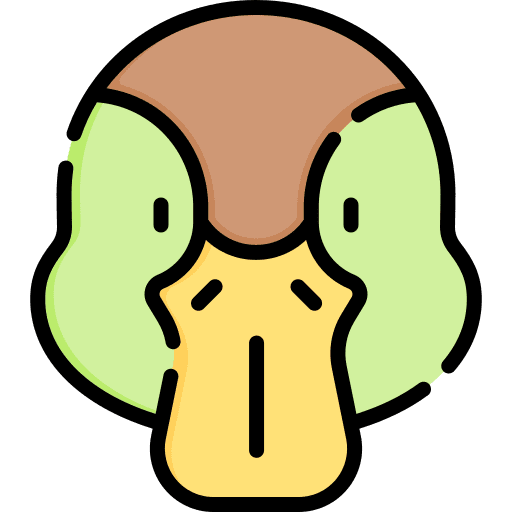 Duck duck bird animal kingdom icon Duck duck bird animal kingdom icon