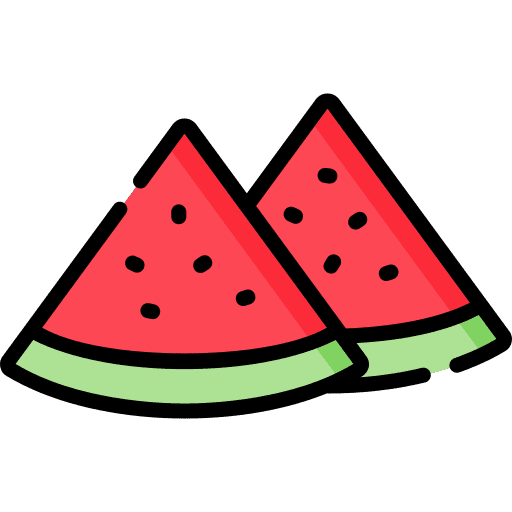 Watermelon diet fruit melon icon