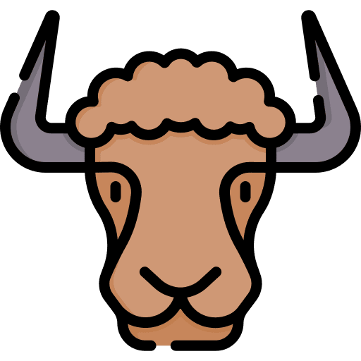 Yak wild avatar user icon Yak wild avatar user icon
