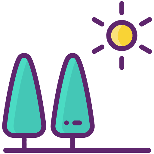 Outdoors sun wood tree icon