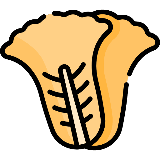 Kimchi oriental food food and restaurant gastronomy icon Kimchi oriental food food and restaurant gastronomy icon