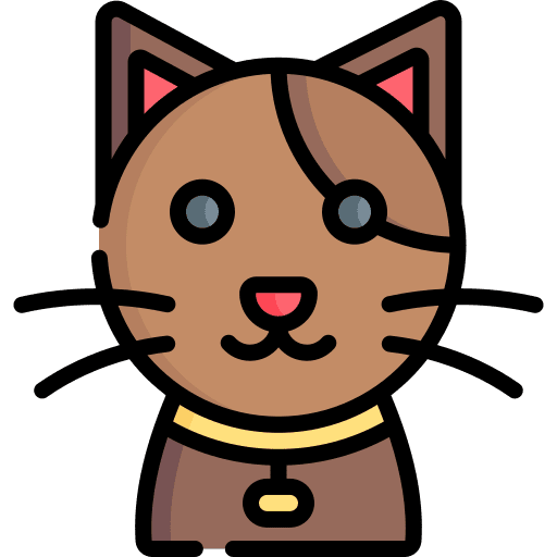 Cat mammal pet animal kingdom icon