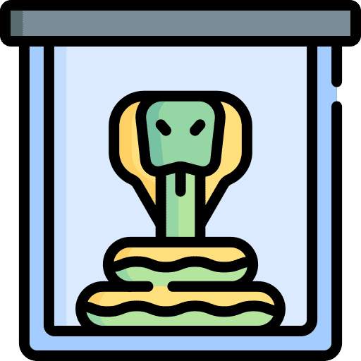 Snake pet pets reptile icon