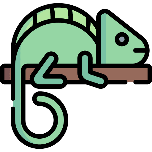 Chameleon zoo animal animal kingdom icon Chameleon zoo animal animal kingdom icon