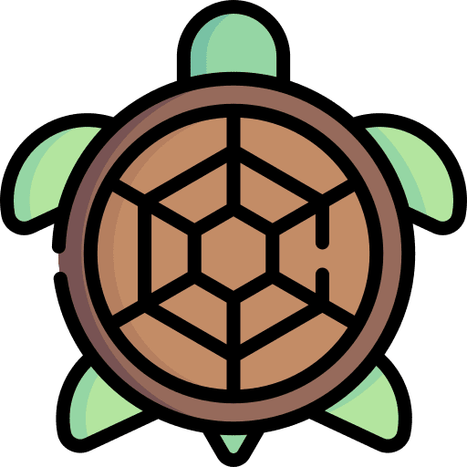 Turtle zoology animal kingdom animals icon Turtle zoology animal kingdom animals icon