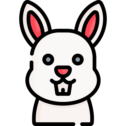 Rabbit pet animals bunny icon Rabbit pet animals bunny icon