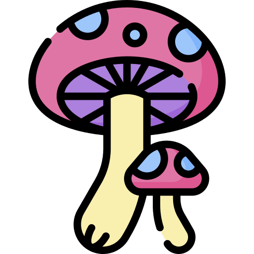 Mushroom spring mushrooms forest icon