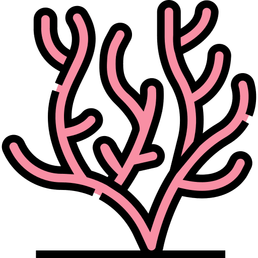 Coral animals coral reef plant icon Coral animals coral reef plant icon