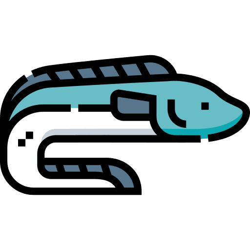 Eel animal eel aquarium icon Eel animal eel aquarium icon