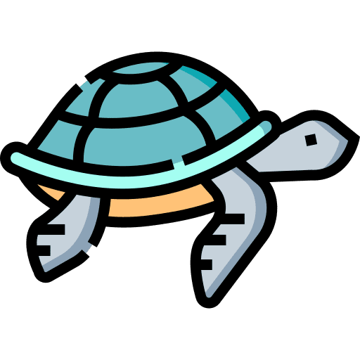 Sea turtle sea turtle animal aquarium icon