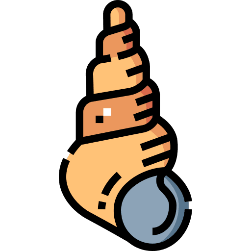 Seashell sea animal aquatic animals icon Seashell sea animal aquatic animals icon