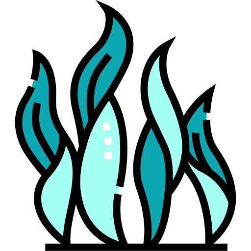 Seaweed nature algae aquatic icon