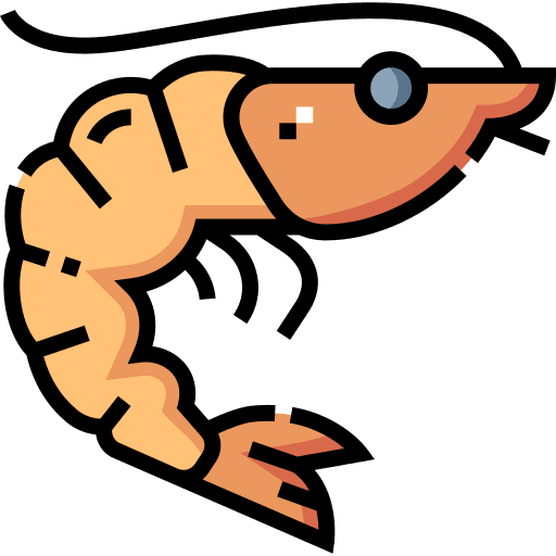 Shrimp shrimp aquatic crustacean icon