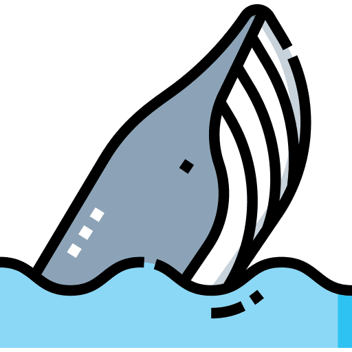 Whale wild life whale mammal icon Whale wild life whale mammal icon