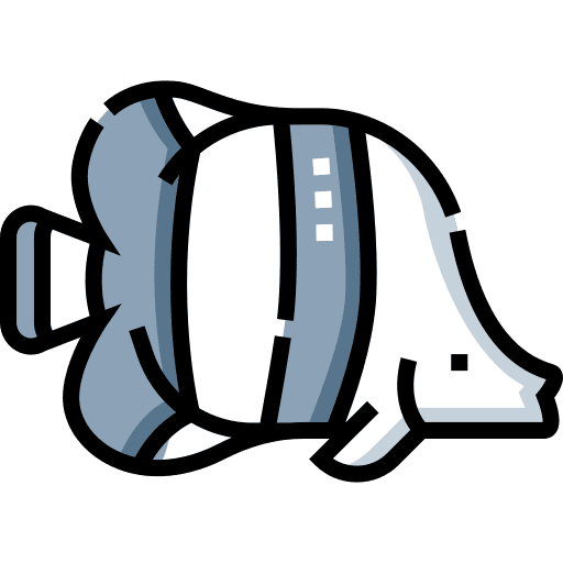 Fish fish sea life aquatic icon Fish fish sea life aquatic icon