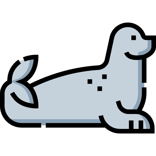 Seal animal mammal animals icon Seal animal mammal animals icon