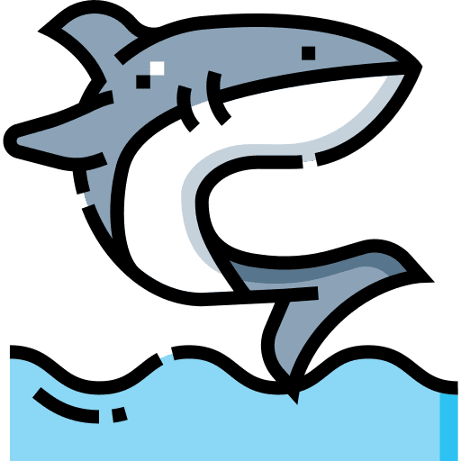 Shark animals shark wild animals icon Shark animals shark wild animals icon