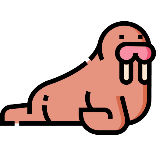 Walrus wild life animals animal kingdom icon Walrus wild life animals animal kingdom icon