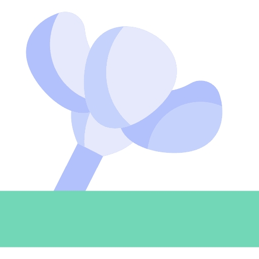 Floralis generica flora flowers botanic icon Floralis generica flora flowers botanic icon