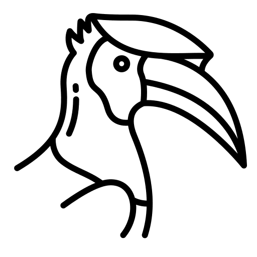 Hornbill ornithology bird beak icon